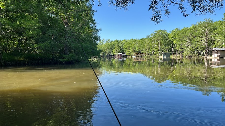 Tree-lined waterway in the Bush-area landscape